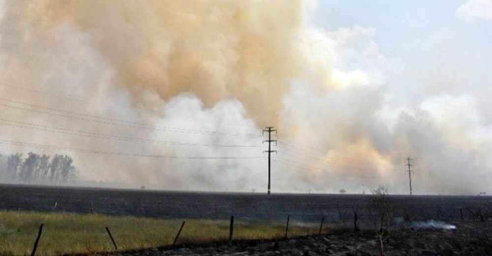 Incendios forestales: para combatirlos el gobierno pide plata prestada