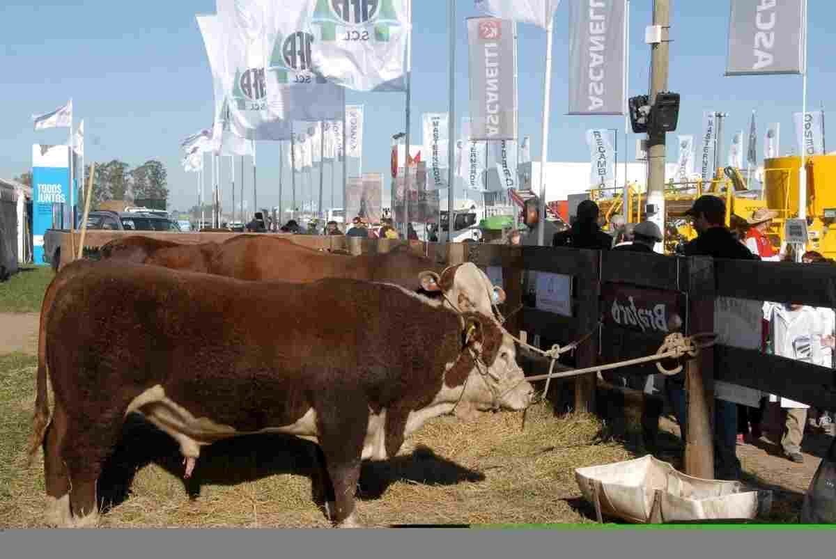 Alianza de trabajo entre AgroActiva y Sáenz Valiente, Bullrich y Cía.