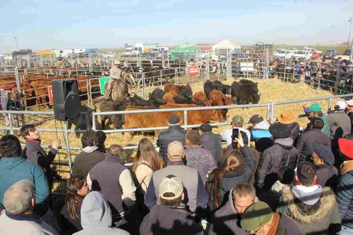 AgroActiva revalorizará su sector ganadero en la edición 2023