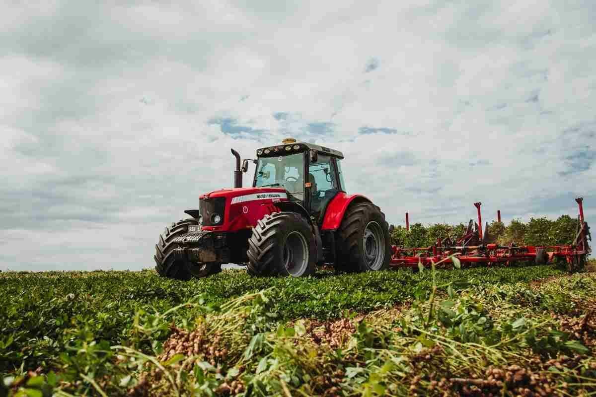 La cadena del maní también pide un incentivo para sus exportaciones