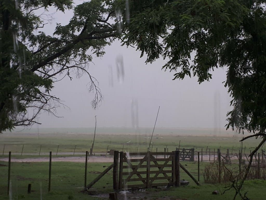 Precipitaciones que ilusionan al sector agropecuario en la mayor parte de la zona núcleo