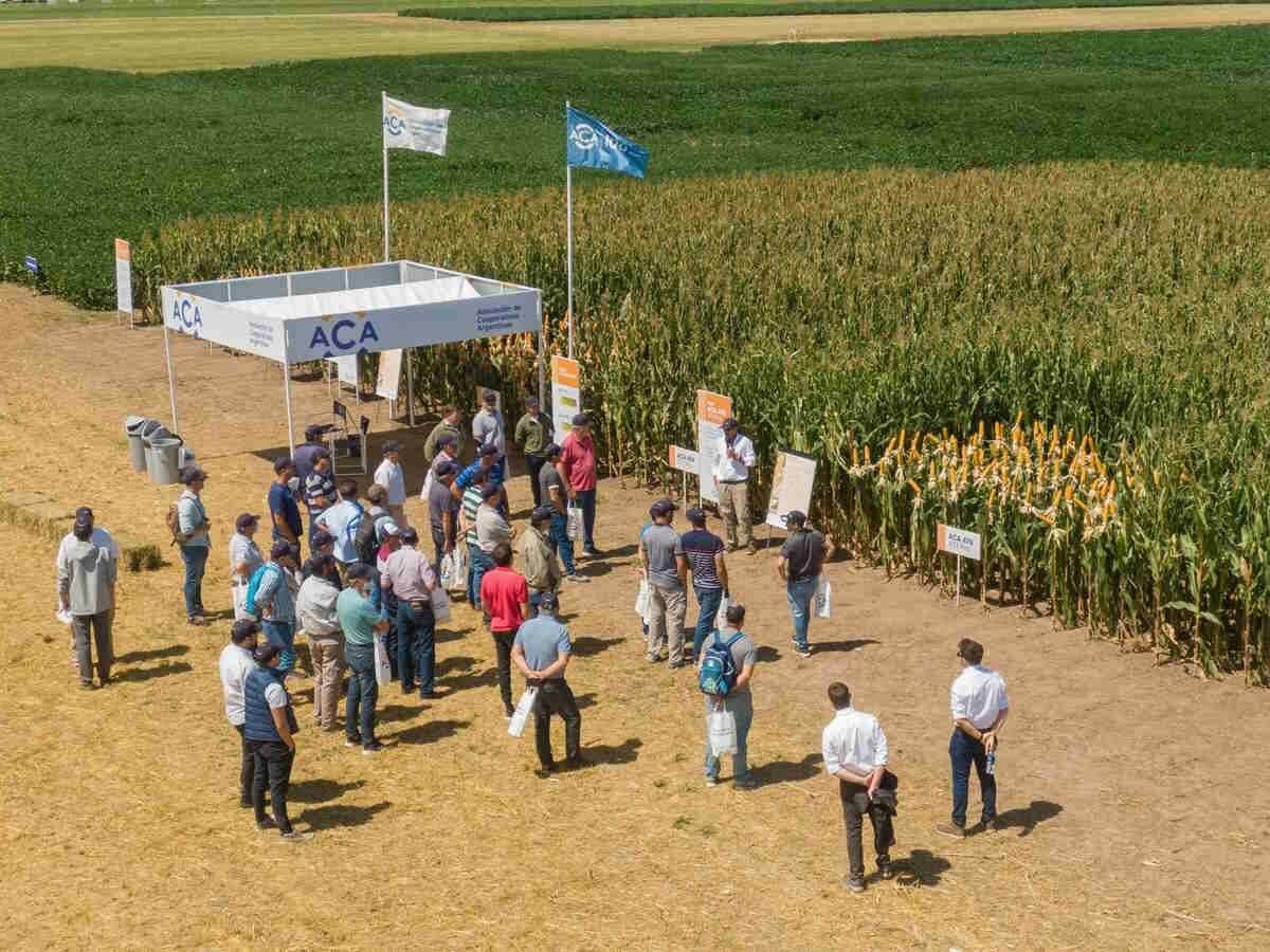 Vuelve la muestra A Campo Abierto con foco en lo digital