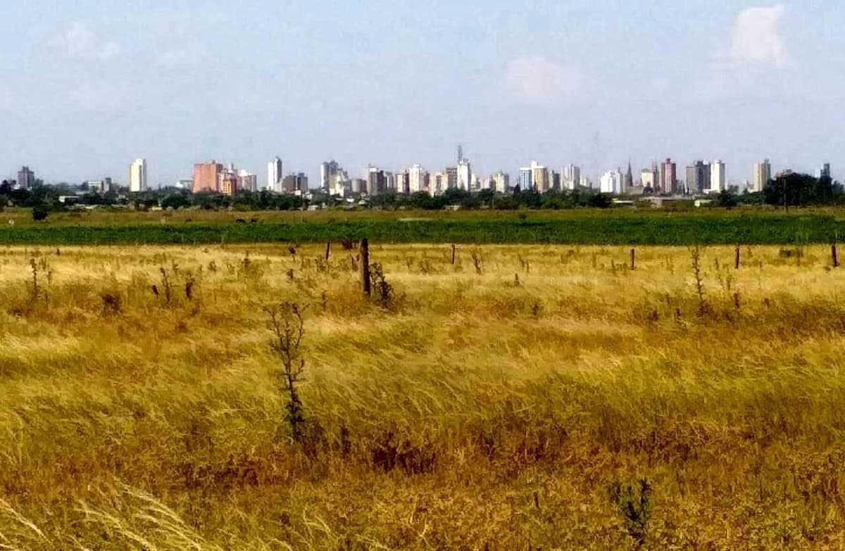 Pergamino perdería por la sequía 3,5 presupuestos municipales, solo en agricultura