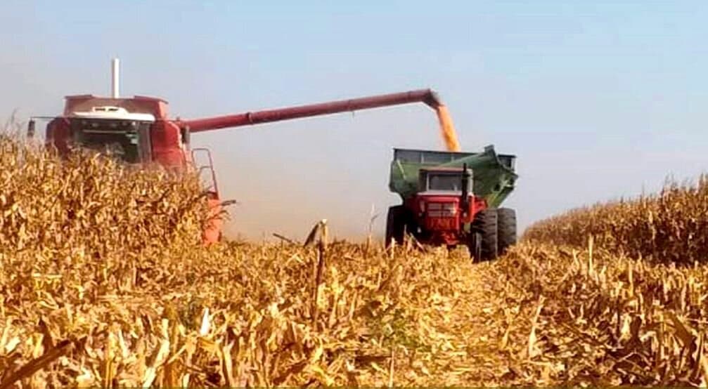 Se sumaron 2500 nuevos beneficiarios al Programa de Compensación de Soja y Maíz