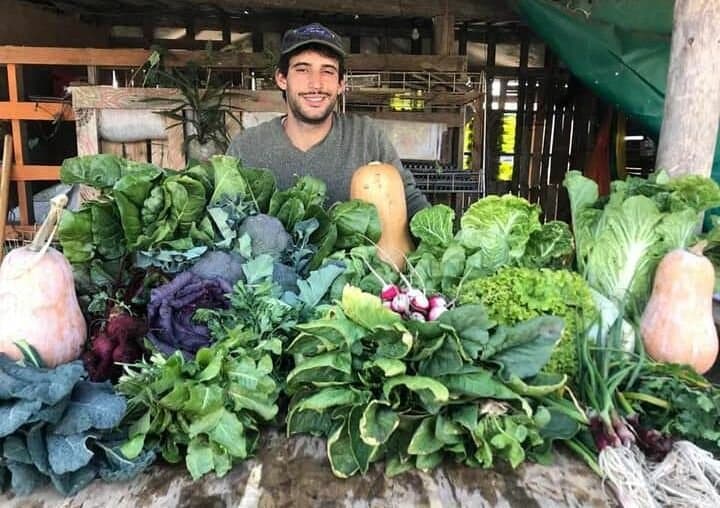 Alimentos: del productor al consumidor, los precios se multiplicaron 3,6 veces