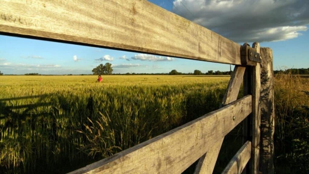 Cultivos de gruesa: ¿Cómo viene el clima para el próximo trimestre?