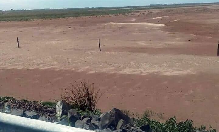 La Picasa: la sequía provocó una bajante histórica de la laguna