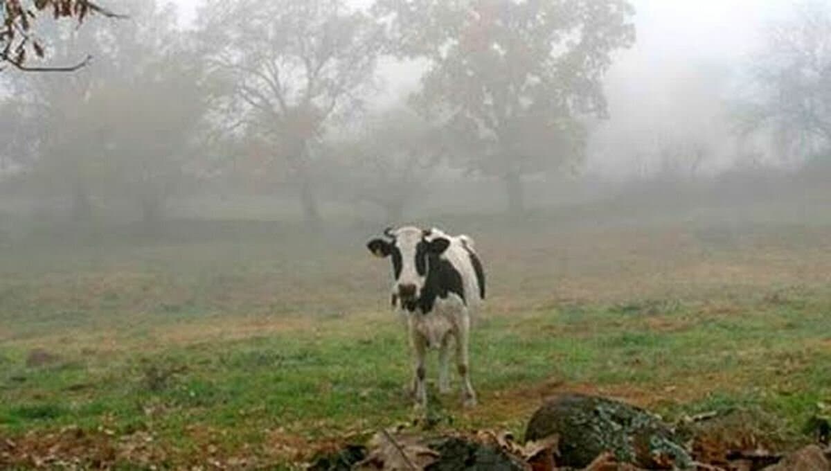 Diciembre traería el alivio de nuevas lluvias