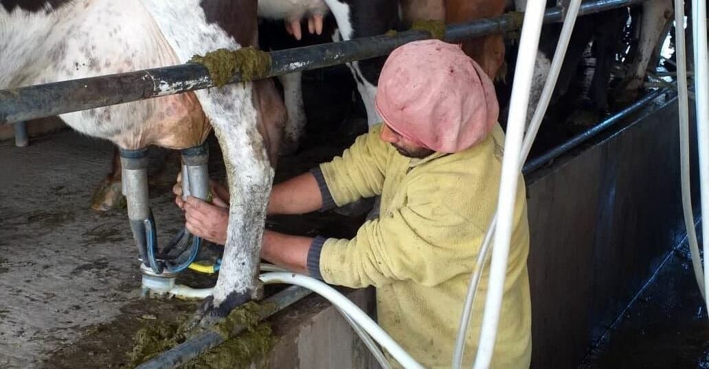 El Programa Impulso Tambero ya inscribió a 3650 productores