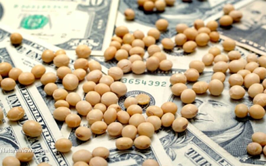 Dólar soja: el tiempo para cumplir con el objetivo sería muy ajustado