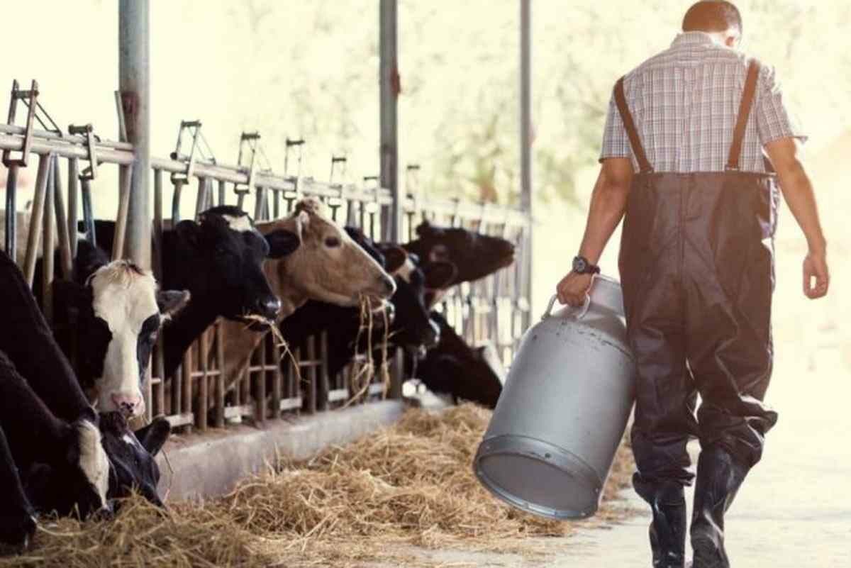 La Mesa de Enlace reclama medidas urgentes para evitar la “desaparición despiadada” de los tamberos