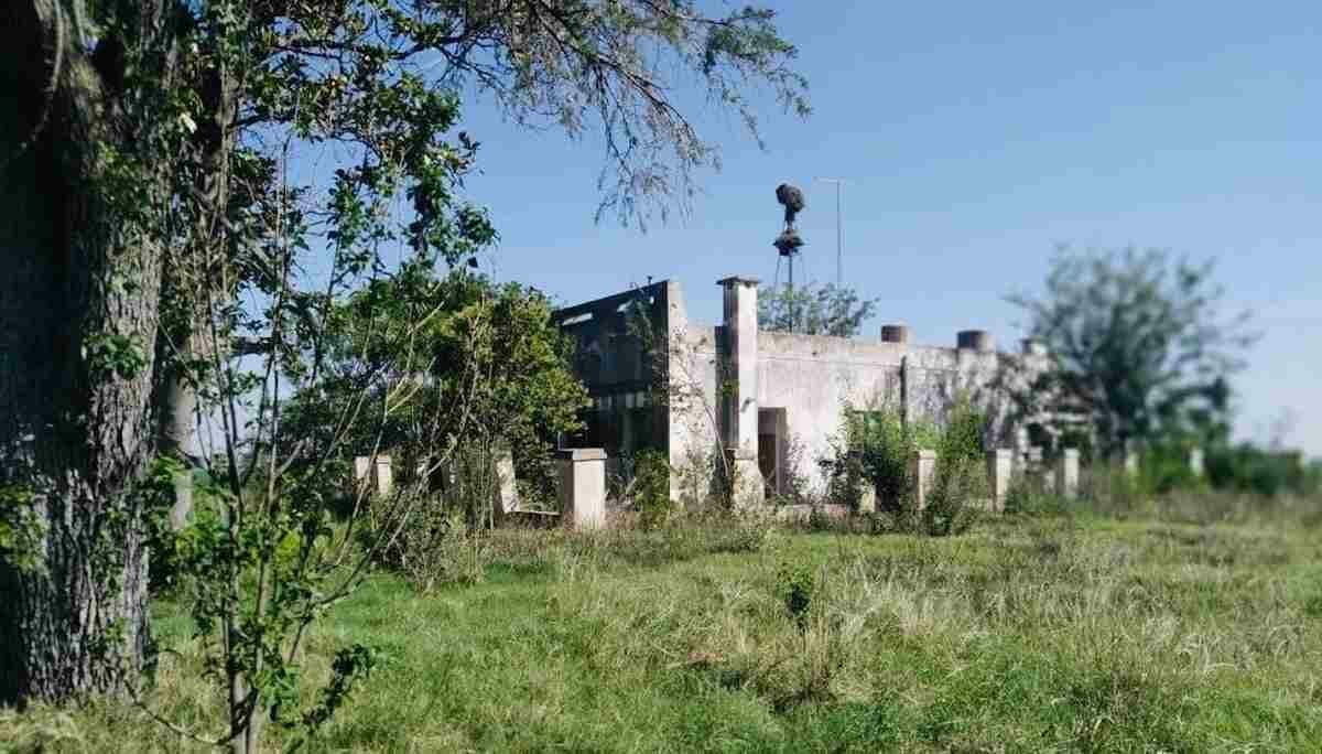 Inseguridad rural: cansada de los robos, una productora santafesina convirtió su casa en una tapera