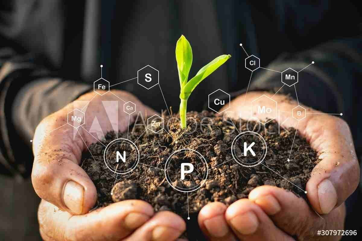 Tratamiento de fertilizantes: Verdesian revolucionó el mercado