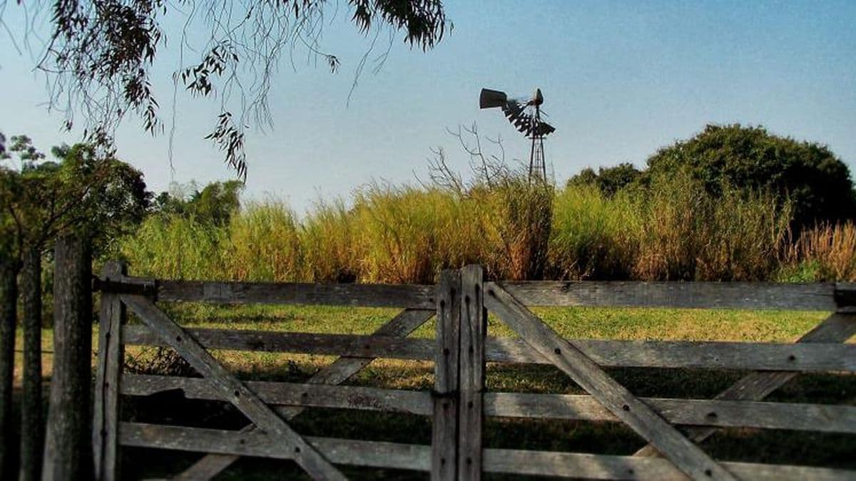 Encontraron un cuerpo calcinado junto a una estufa en un campo en Ortiz Basualdo