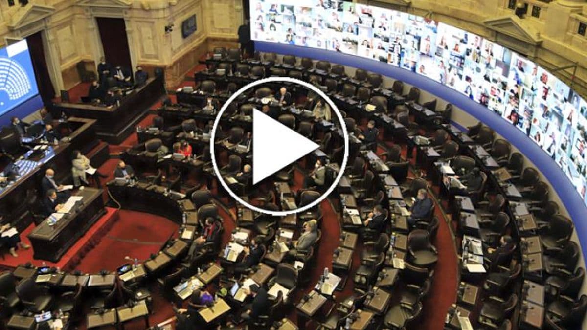 Reunión informativa por derechos de niños: diputados reciben a Marisa Graham 
