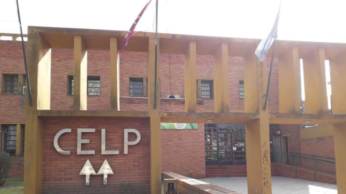 El Poder Judicial obliga a la Celp a llamar a elecciones