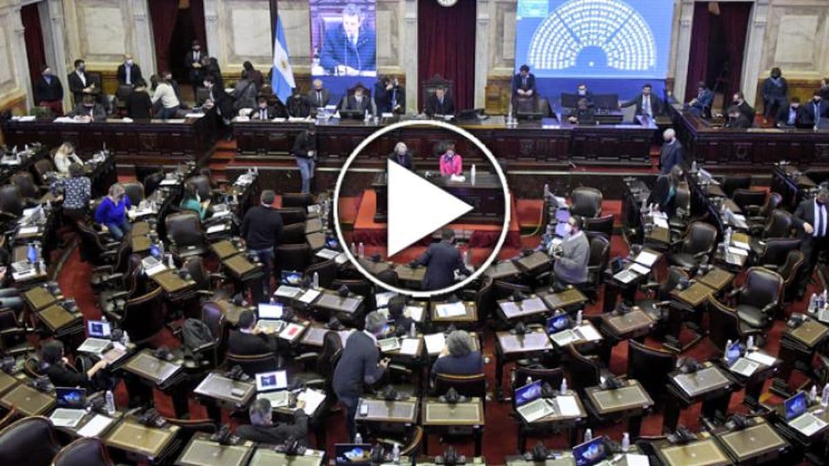Diputados continúa trabajando en la ley de humedales