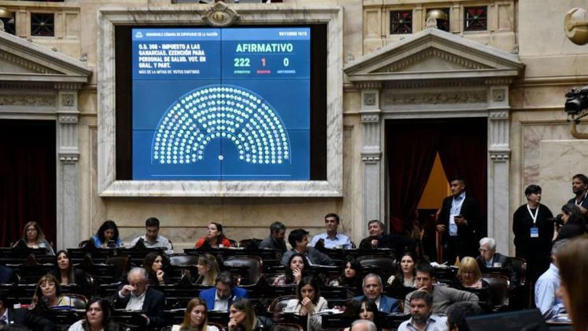 Diputados aprobó crear un Registro de Deudores Alimentarios y el alivio en Ganancias para los médicos