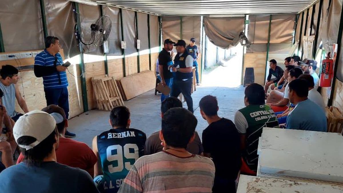 Allanamiento en un campo en Acevedo por trabajo esclavo