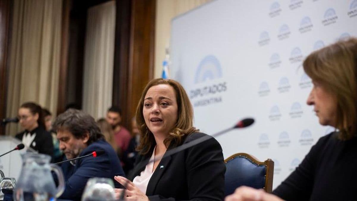 Cecilia Moreau confirmó que mañana ingresará el Presupuesto