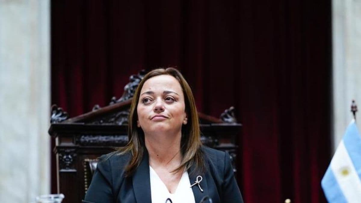 Ganancias: Cecilia Moreau pidió salir de la especulación electoral