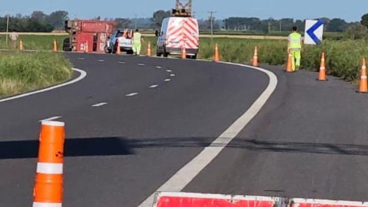 Volcó un camión con novillos en la Autopista