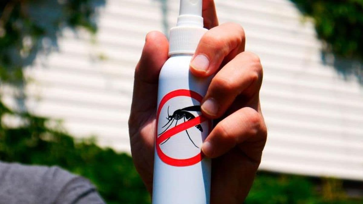 Aerosol, gel o crema: la efectividad de los repelentes es la misma