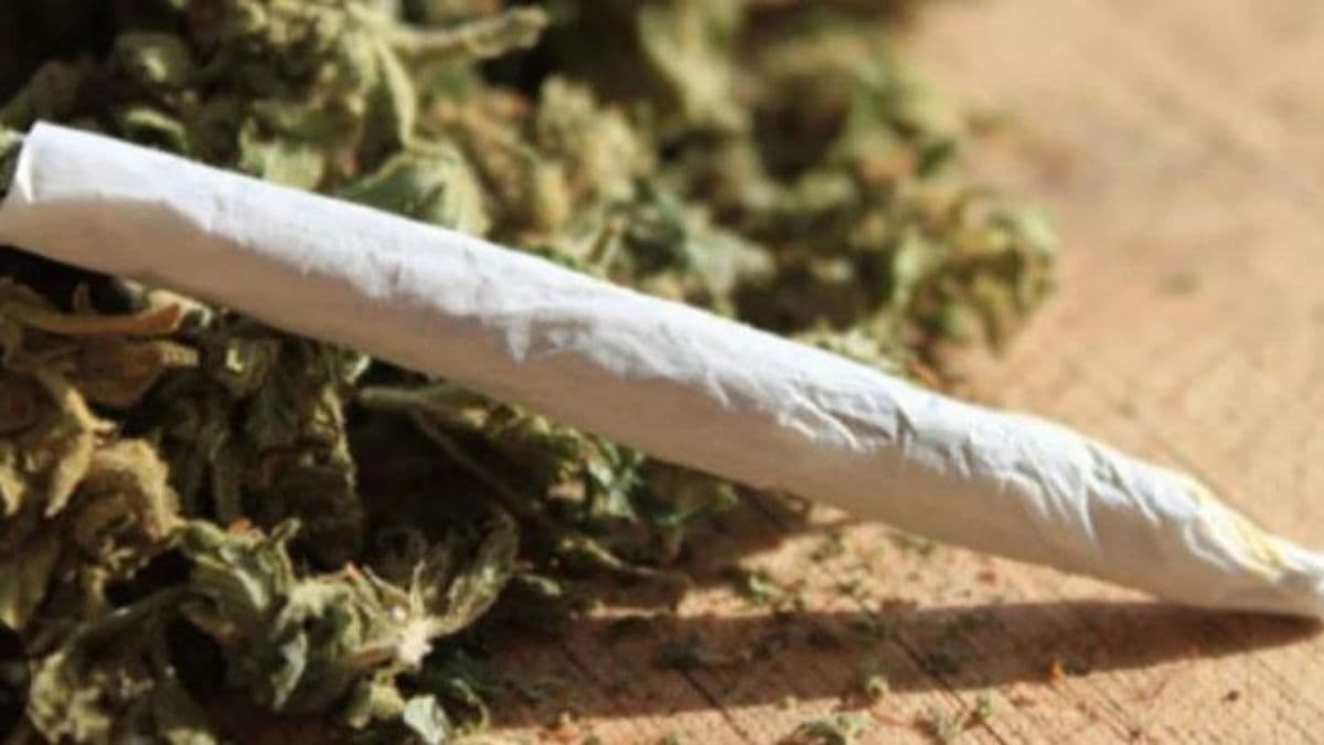 Detuvieron a un joven con marihuana en La Violeta