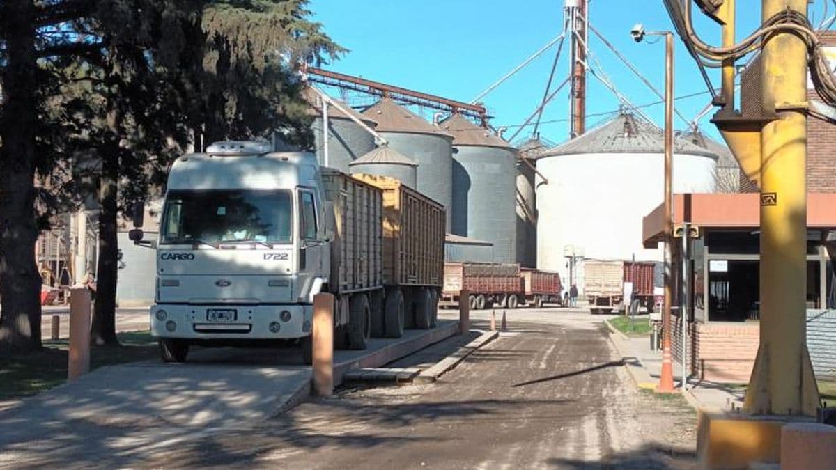 La humedad complicó el acopio de la cosecha gruesa en la región
