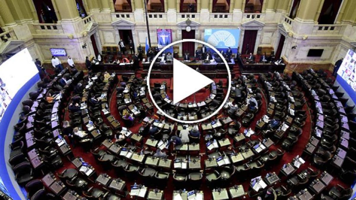 Diputados debate un proyecto para prevenir y erradicar la violencia institucional