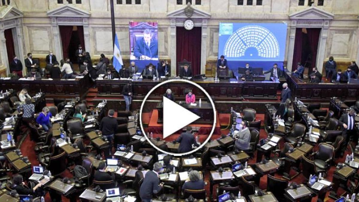 Diputados recibe a especialistas para trabajar en los desafíos post pandemia para la niñez