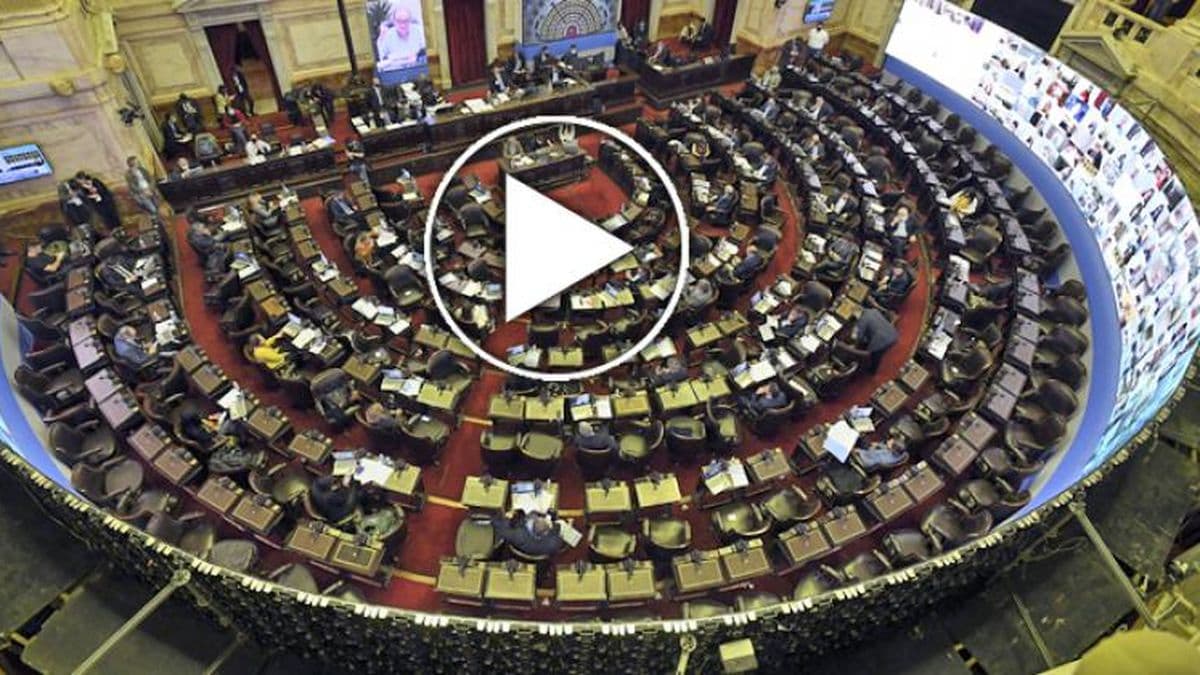 Diputados analiza el proyecto de alivio fiscal para monotributistas