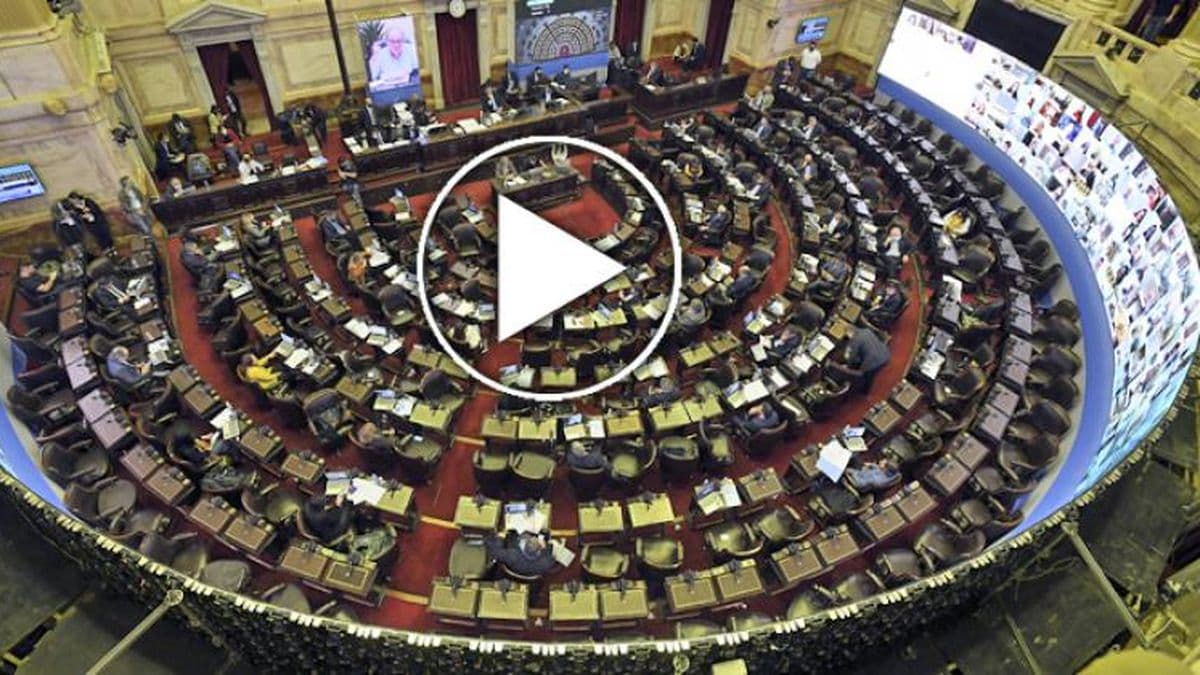 Diputados analiza la creación del Area Marina Protegida Agujero Azul