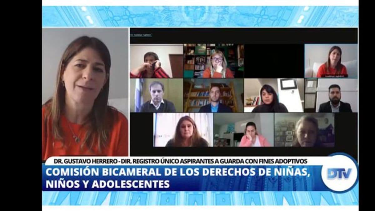 Diputados analizó los sistemas de adopción