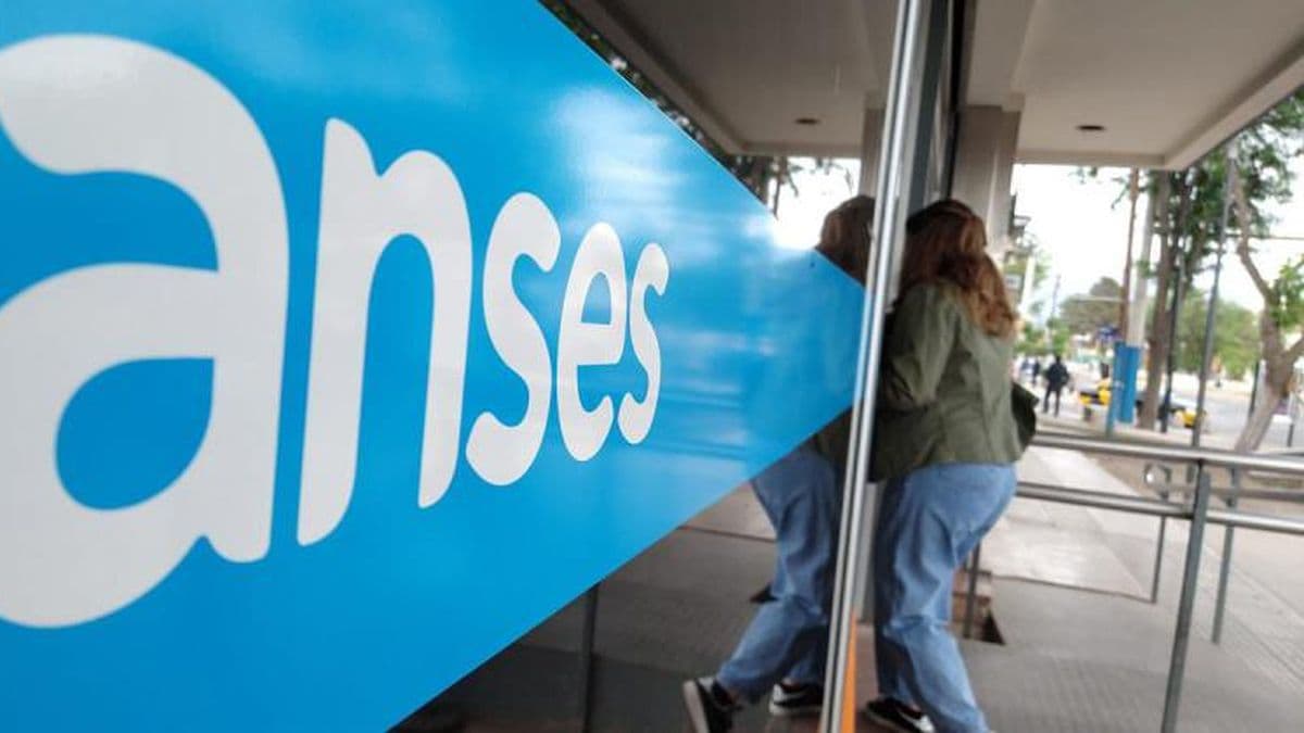 El Gobierno dispuso por decreto un bono mensual para las Asignaciones Familiares