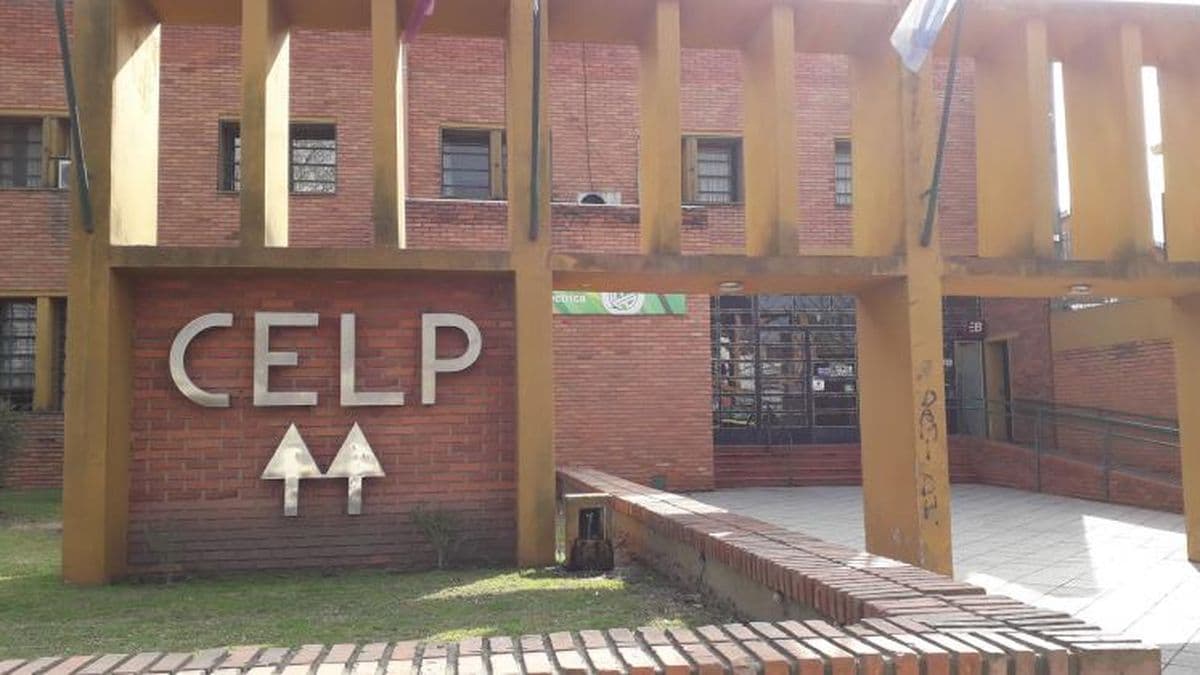 Por qué la factura de la Celp de este mes no incluye alumbrado público y servicios sociales