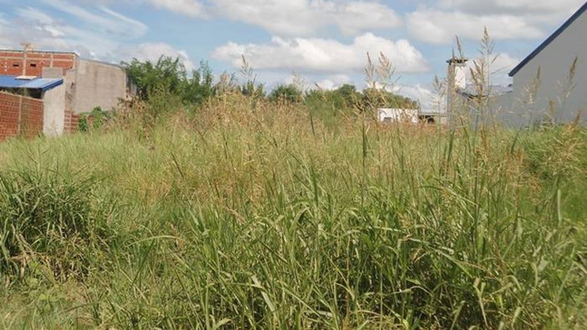 San Nicolás: Más limpieza en la ciudad, el Municipio advierte por multas en terrenos sin cuidado
