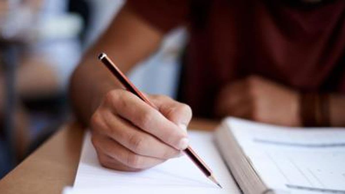 El Puerto de San Nicolás ofrece capacitación gratuita en idiomas para trabajadores y vecinos
