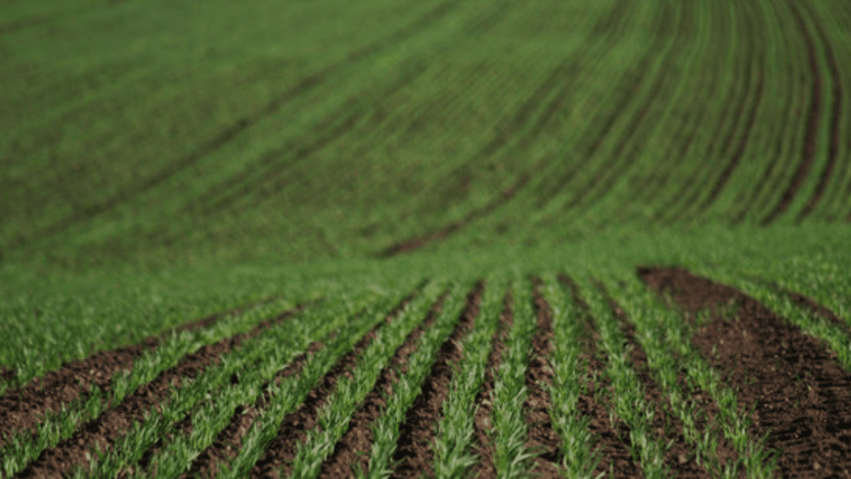 Pergamino propone una mesa de consenso para el uso de agroquímicos y pide levantar las restricciones