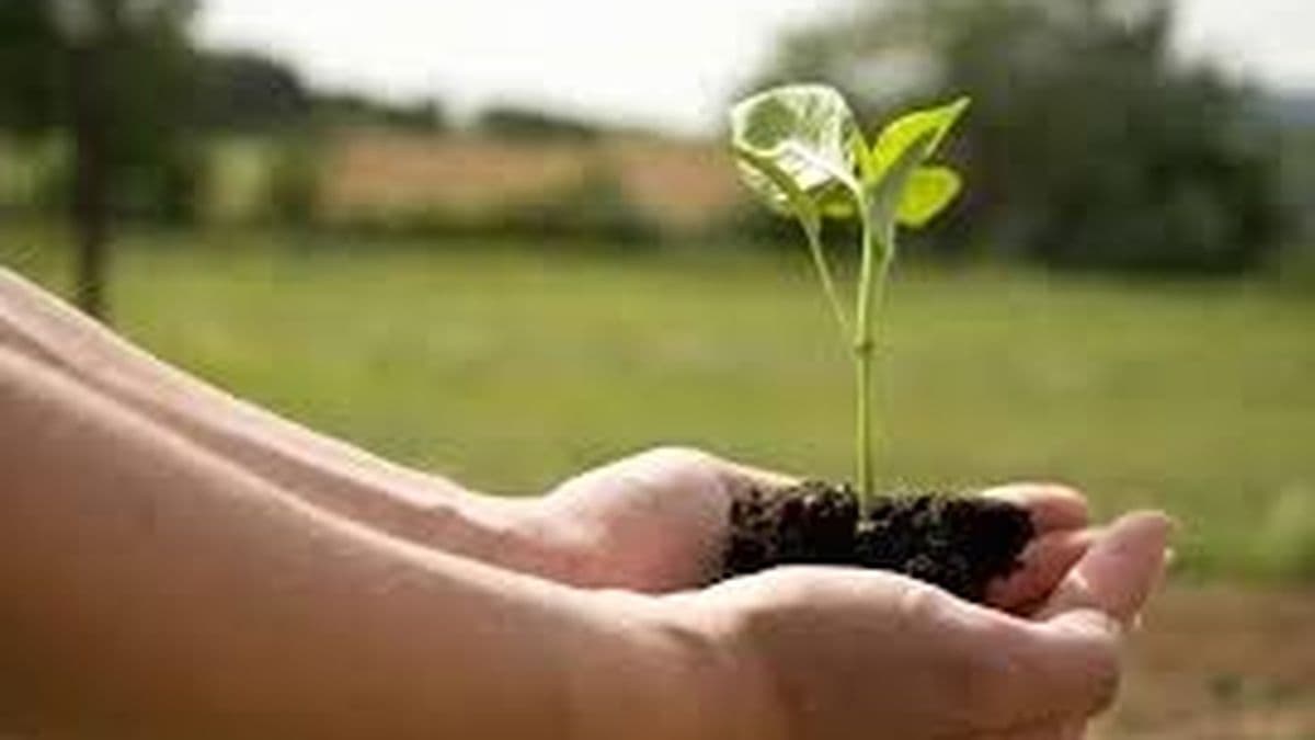 Aianba difundió un comunicado en defensa de la integración tecnológica y las buenas prácticas en el agro