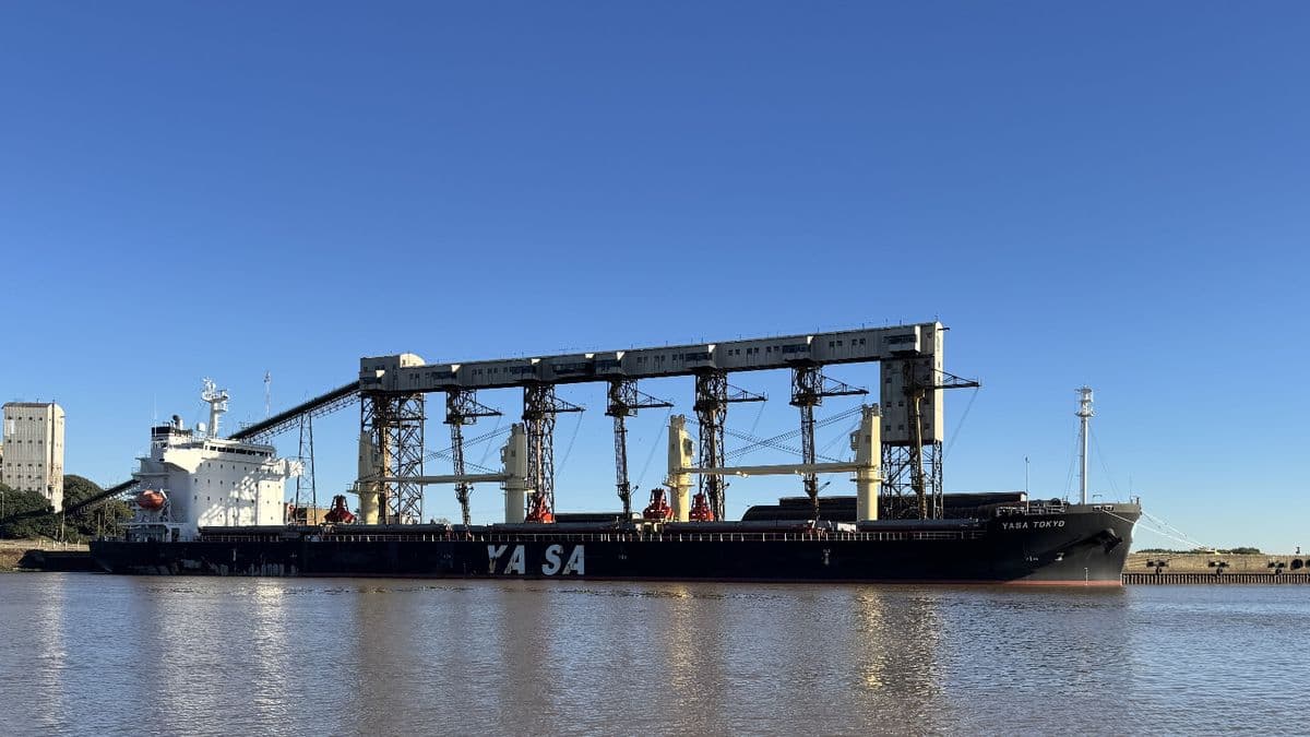 Barco varado en San Pedro: un bloqueo millonario que revela el drama del puerto