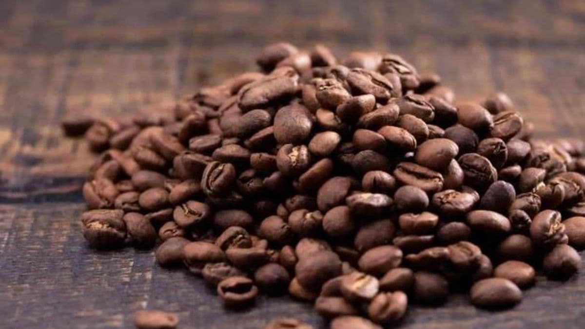 Anmat prohibió siete productos de café por ser "apócrifos" y sin registros sanitarios