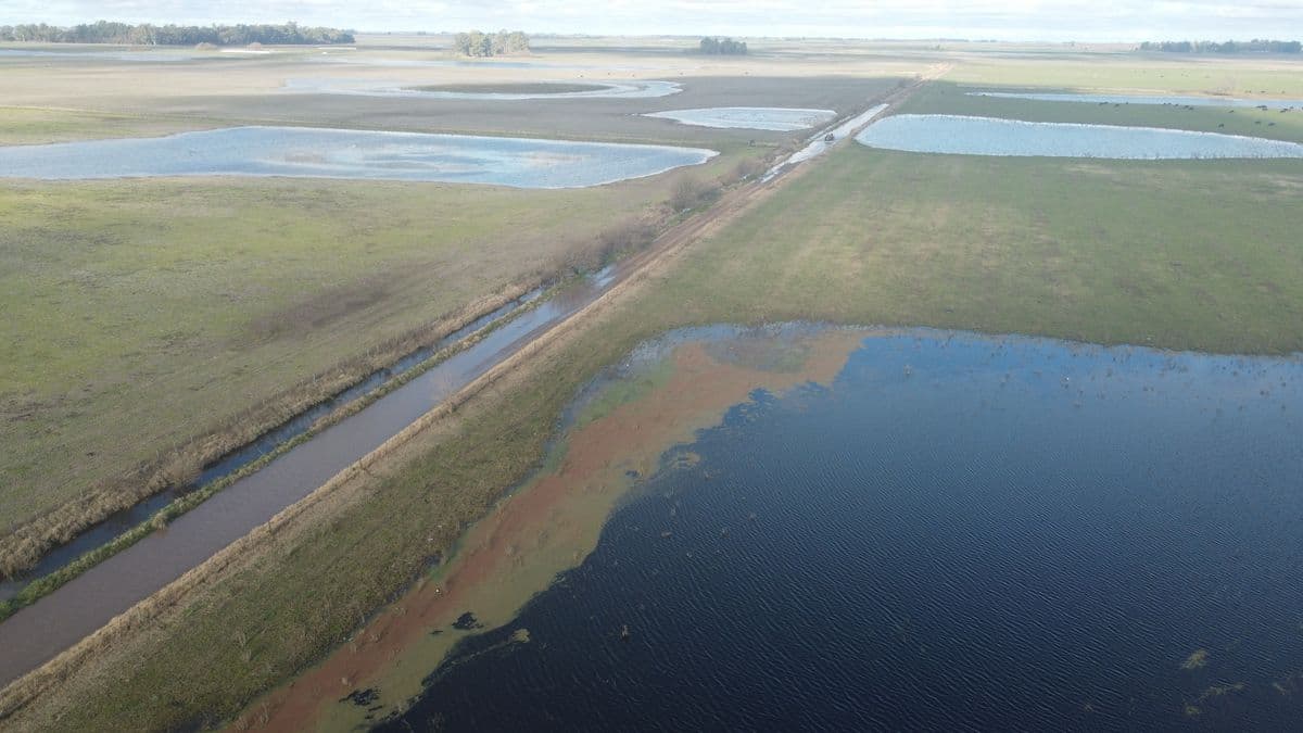 Inundaciones en 9 de Julio: 110.000 hectáreas afectadas y 160 km de caminos cortados