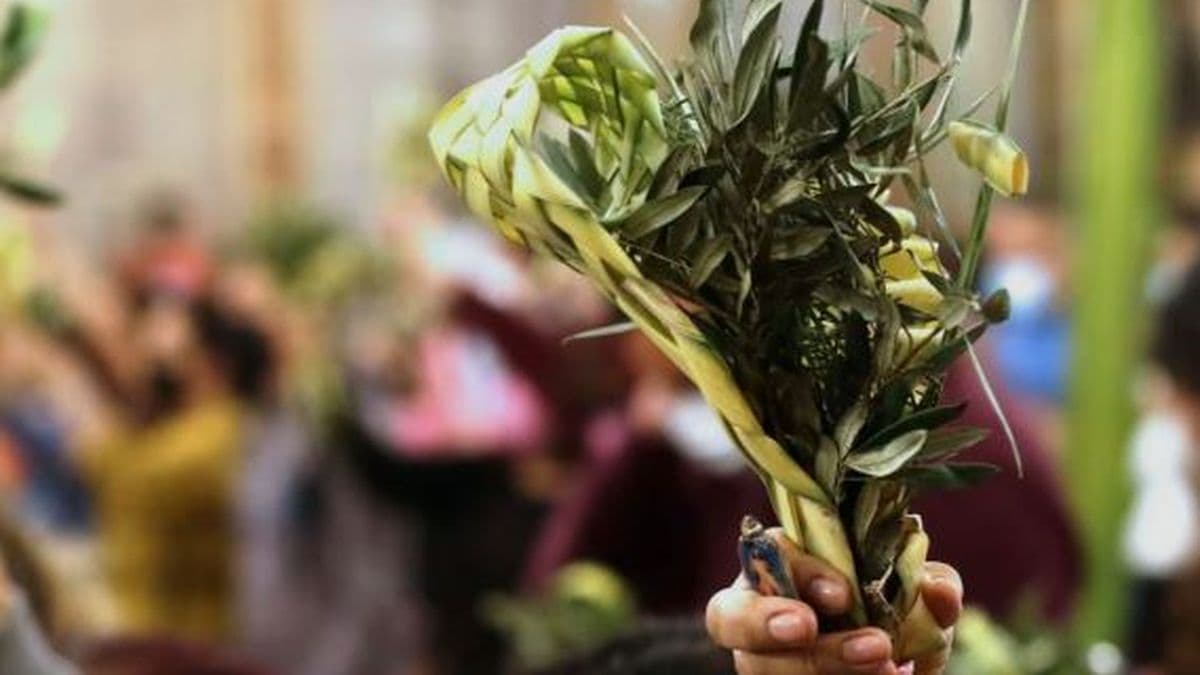 Con el Domingo de Ramos, la Iglesia católica inicia la Semana Santa