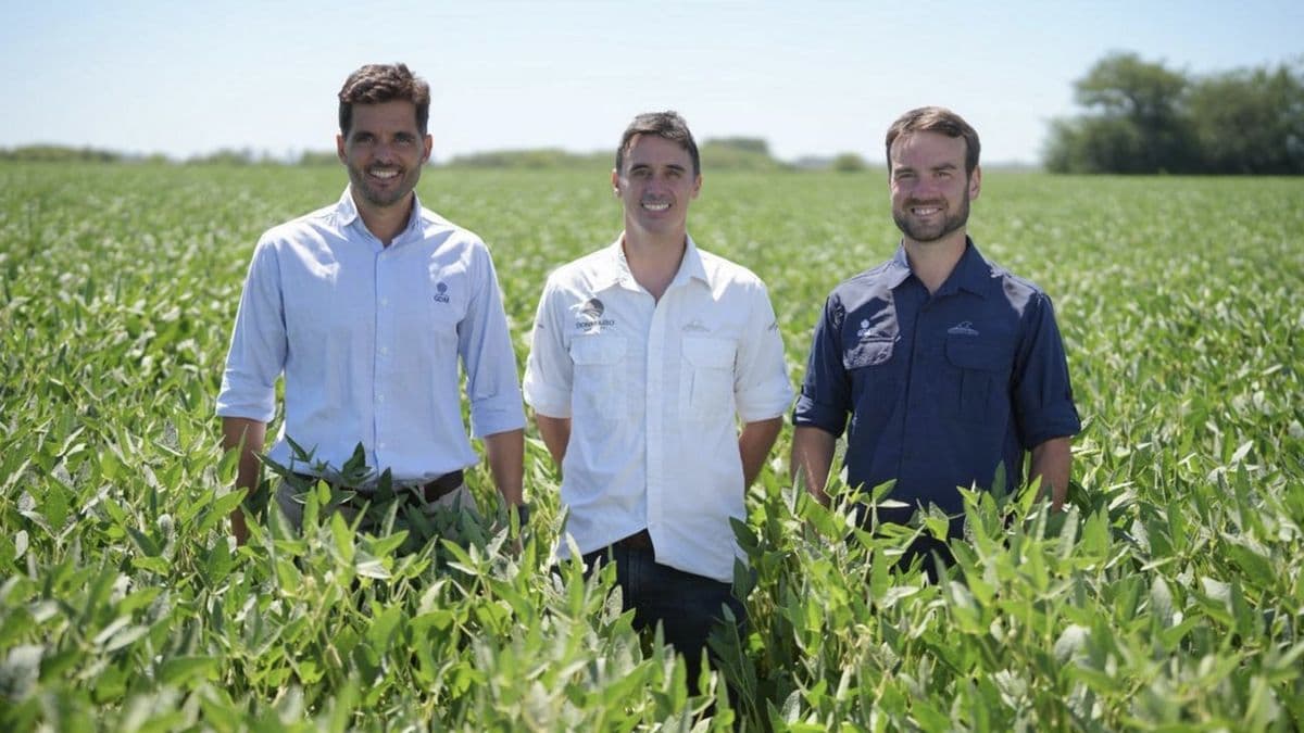 DONMARIO: La nueva generación de soja ya pisa fuerte en el campo