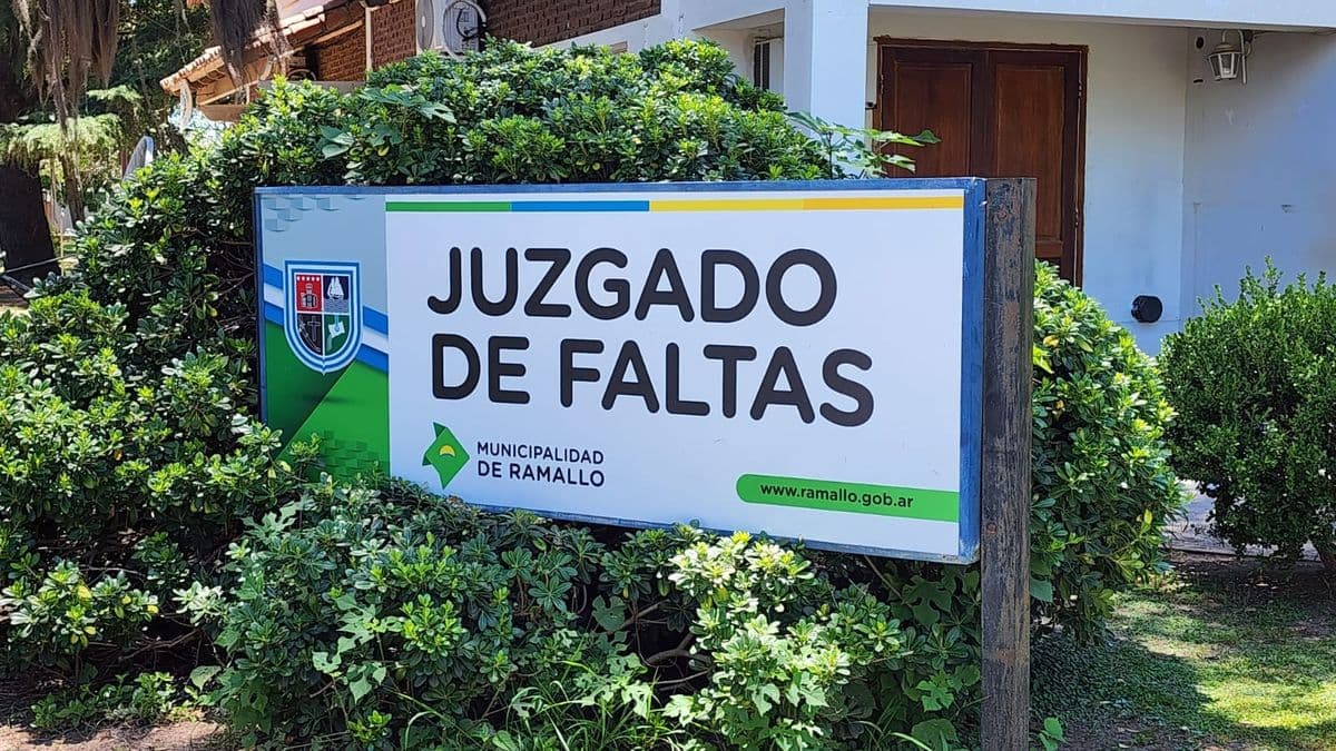 Ramallo: cómo el Municipio multa y controla terrenos baldíos abandonados