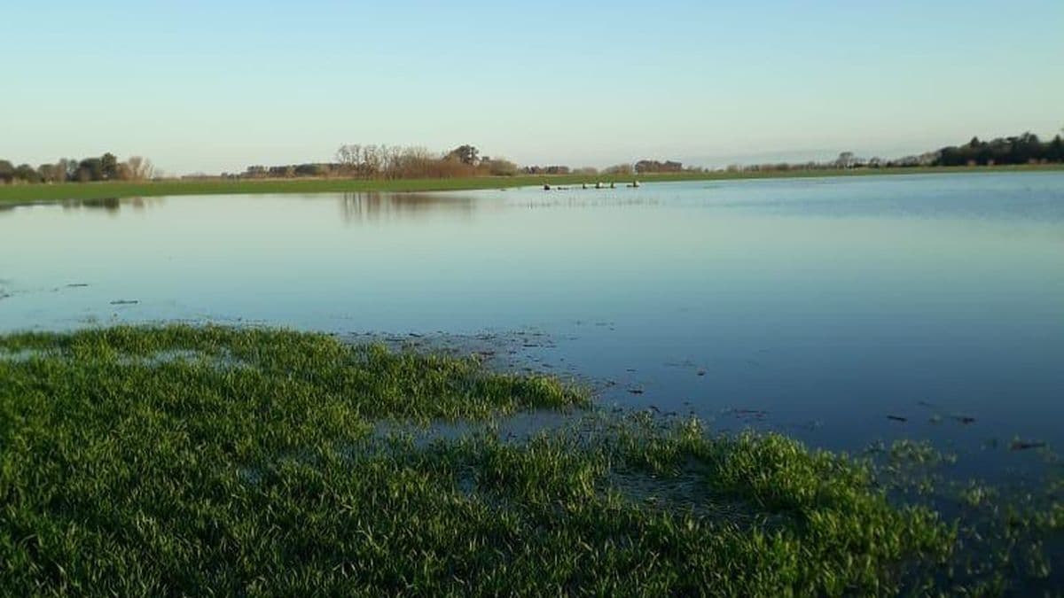 Luego de un invierno histórico, las lluvias se normalizarían en primavera