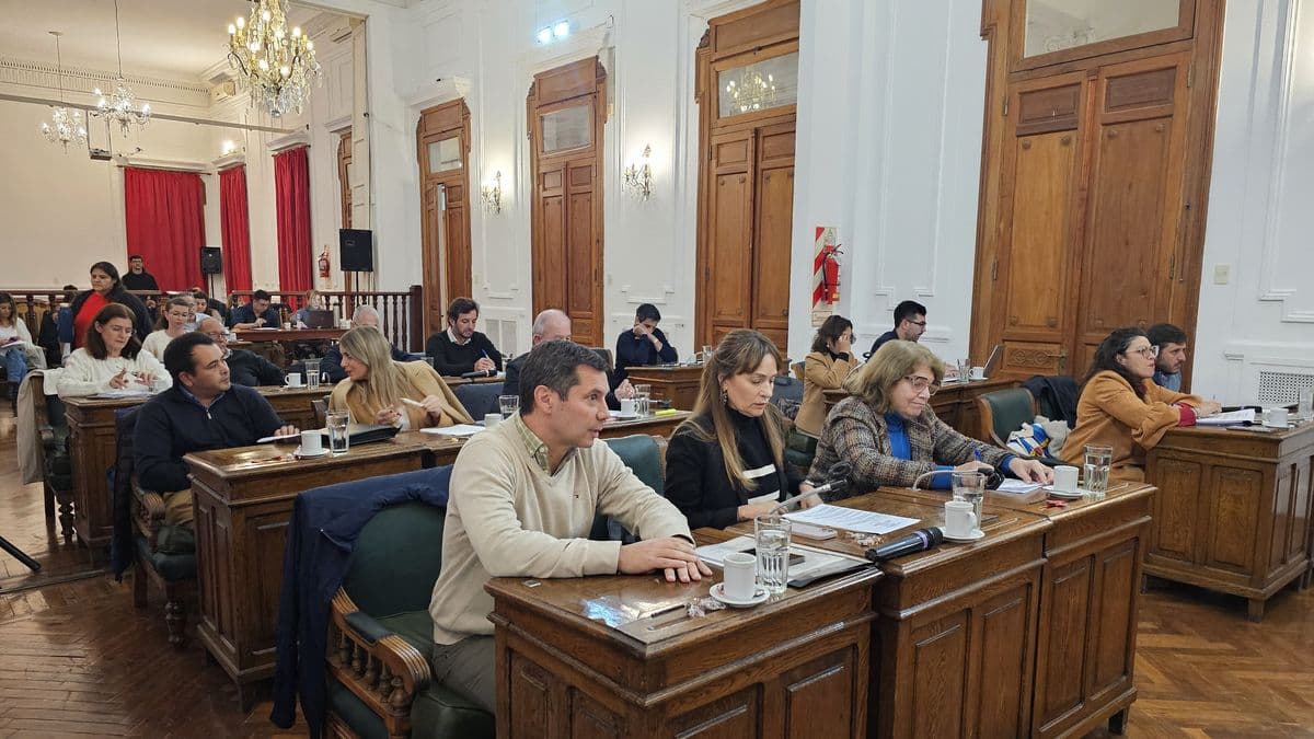 Pergamino: Con Unión por la Patria en contra, el Concejo aprobó por mayoría la Rendición de Cuentas 2024