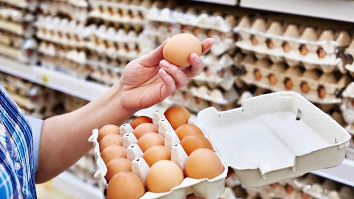 Argentina rompe un récord mundial: casi 400 huevos por persona al año
