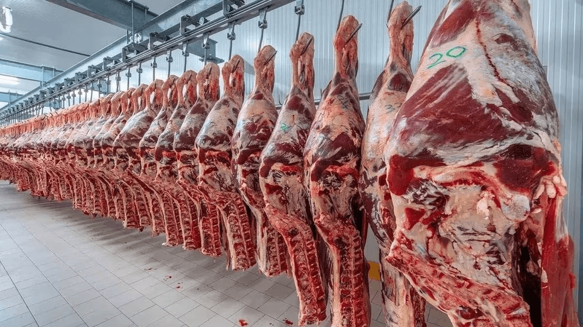Ramallo: China rechazó 22 toneladas de carne argentina por un antibiótico prohibido